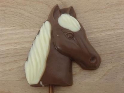 Picture of Horse head Lollipop white mane