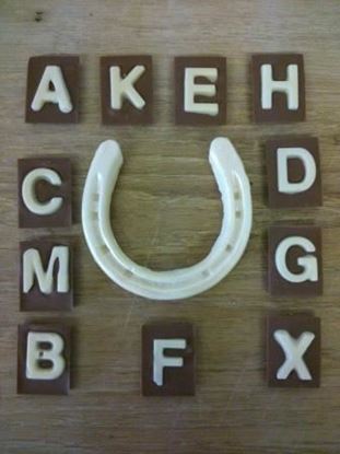 Picture of Chocolate Dressage Arena Markers