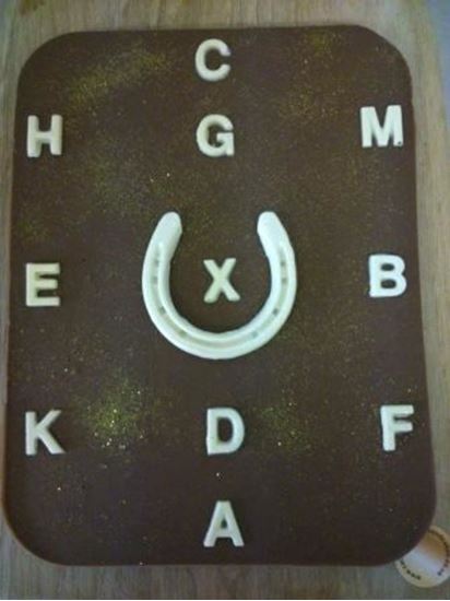Picture of Kilo Chocolate Bar Dressage Arena Markers
