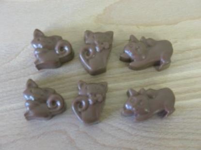 Picture of Chocolate Cats