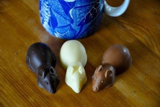 Chocolate Mice