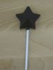 Star lollipop