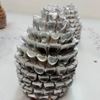Picture of Metallic Pine Cones