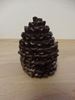 Solid Chocolate Pine Cones