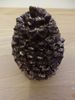 Solid Chocolate Pine Cones