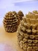 Picture of Metallic Pine Cones - offer