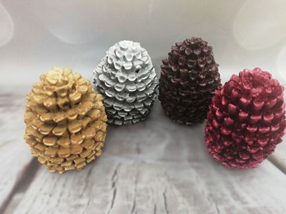 Pine Cones